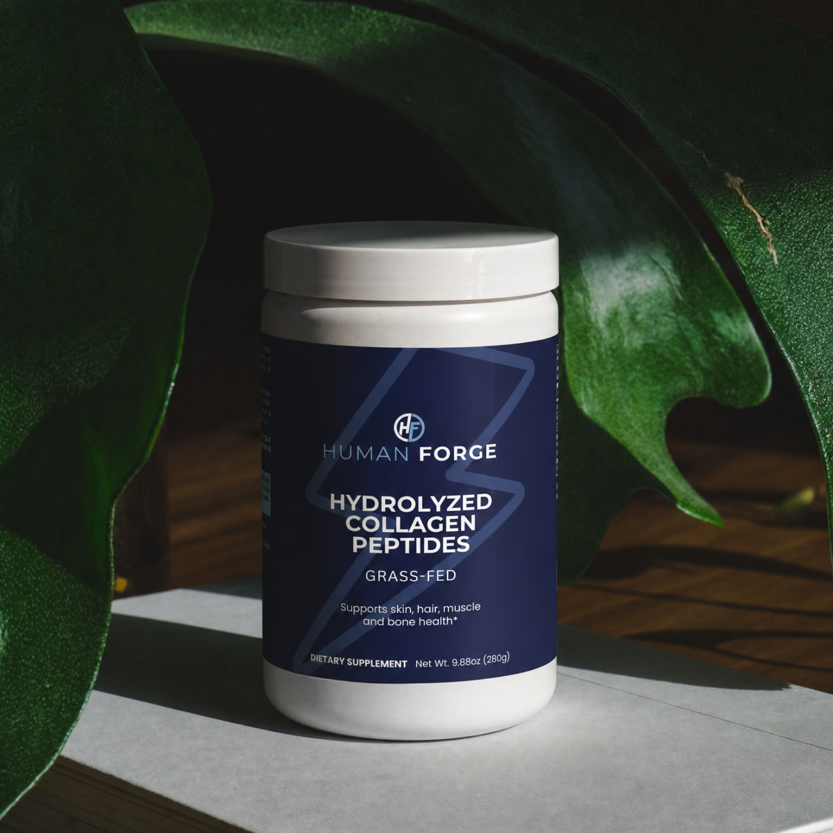 The Science Behind Your Stack: What Creatine, Collagen & Omega-3 Actually Do