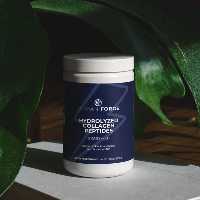The Science Behind Your Stack: What Creatine, Collagen & Omega-3 Actually Do
